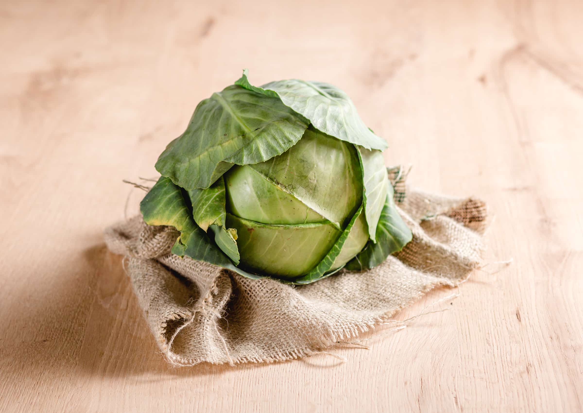 Bio Frühkraut